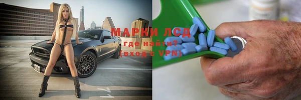 сатива Богородицк