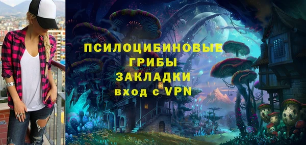 PSILOCYBIN Беломорск