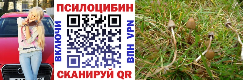 Псилоцибиновые грибы MAGIC MUSHROOMS  Шебекино 