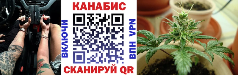 хочу   Шебекино  Шишки марихуана VHQ 